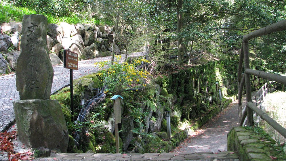 🏞️ 후지노쿠니 타고노우라 미나토 공원 이미지 7